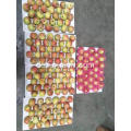 Shannxi Red Gala Äpfel